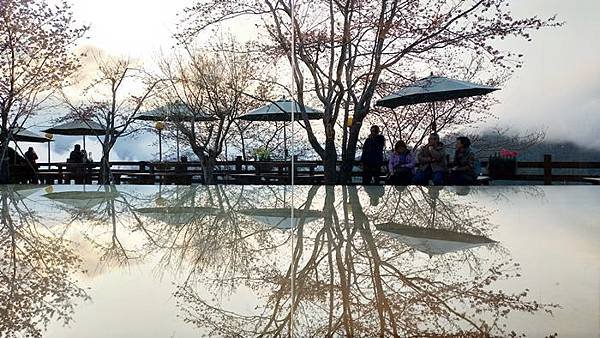 P_20200220_171818_vHDR_Auto_HP.jpg
