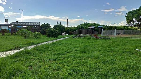 P_20200807_161707_vHDR_Auto_HP.jpg