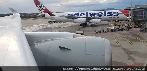 EDELWEISS A340.jpg