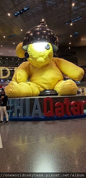 DOHA BEAR.jpg