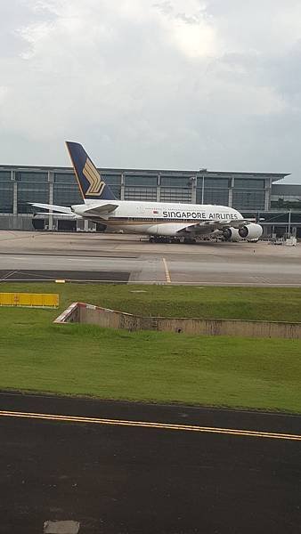 SQ A380.jpg