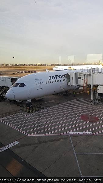 JAL.jpg