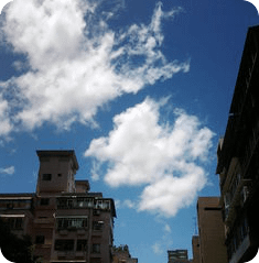 雲白得很囂張