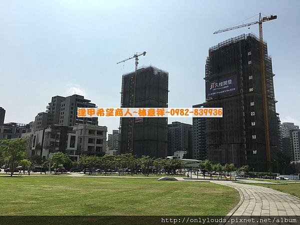 大城雲杉小山丘