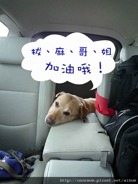 環島-95.jpg