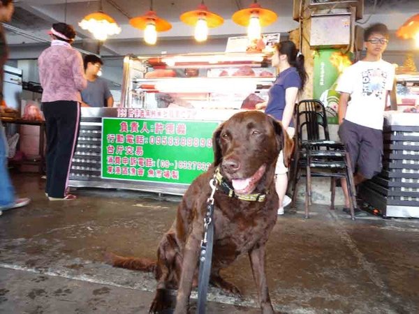 東港-17.jpg