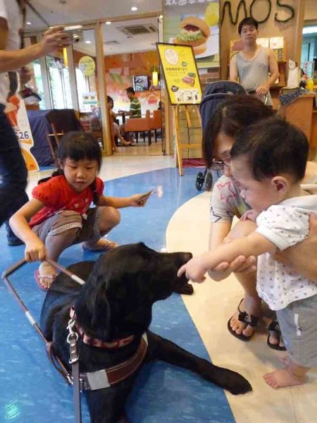 導盲犬-2.jpg