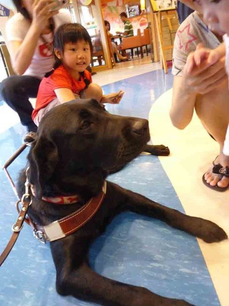 導盲犬-3.jpg