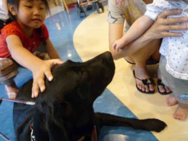導盲犬-4.jpg
