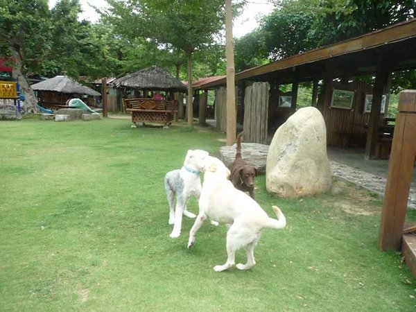 Q比-15.jpg