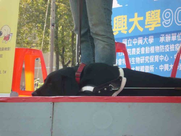 中興-17.jpg