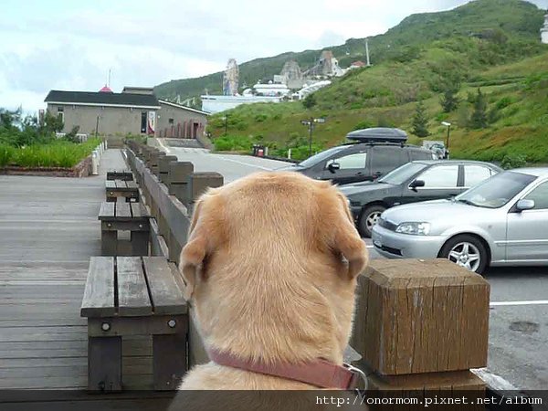 環島164.jpg