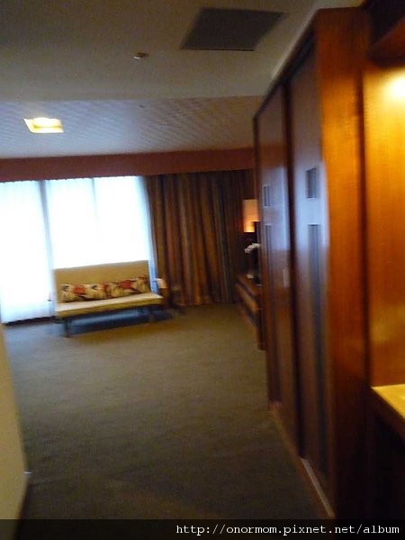 富野7.jpg