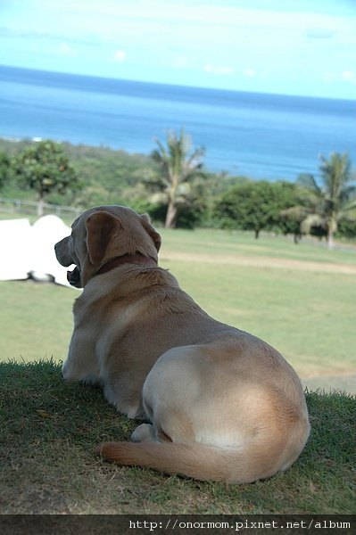 DSC_0142.JPG