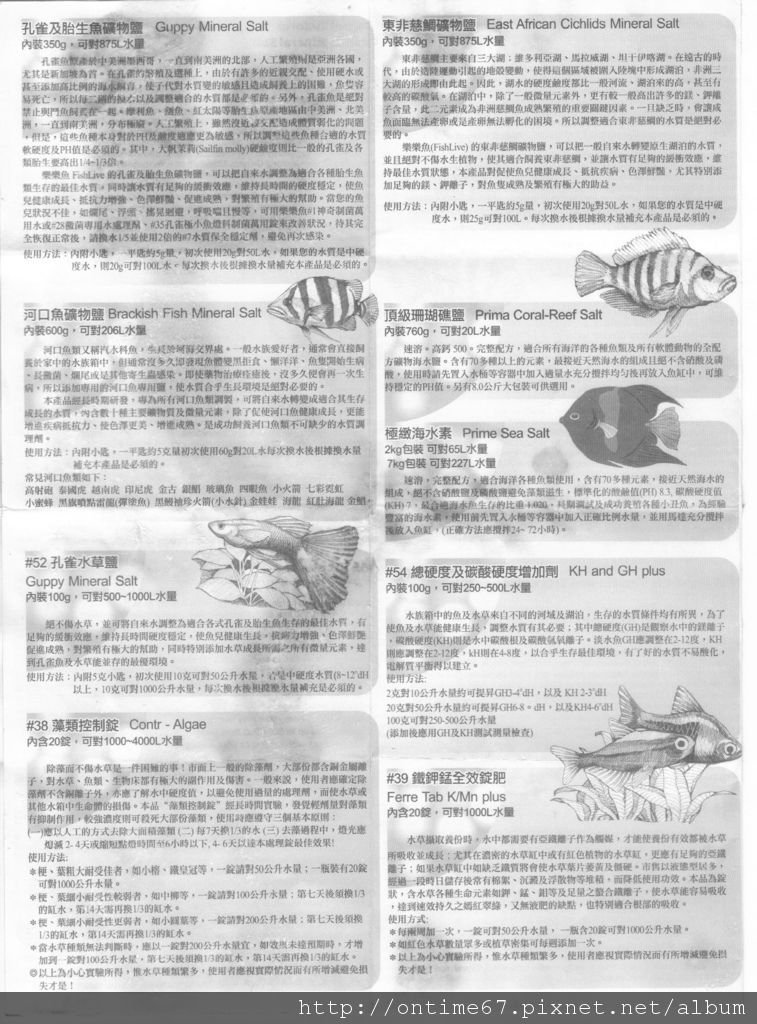 02.jpg