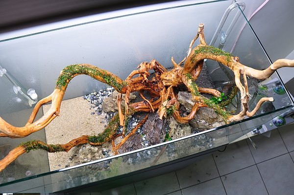 DSC_0020.JPG