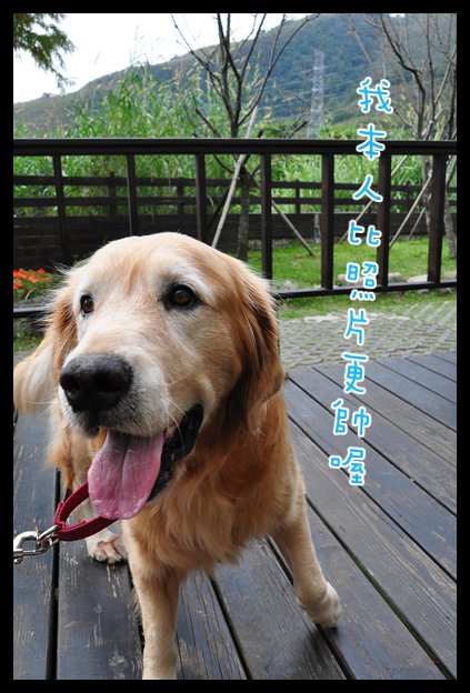 DSC_0783拷貝.jpg