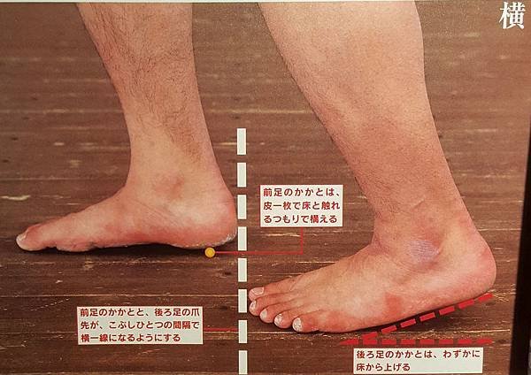 劍道_步幅.jpg