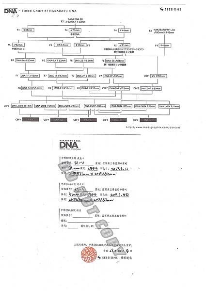 dna blood2.jpg