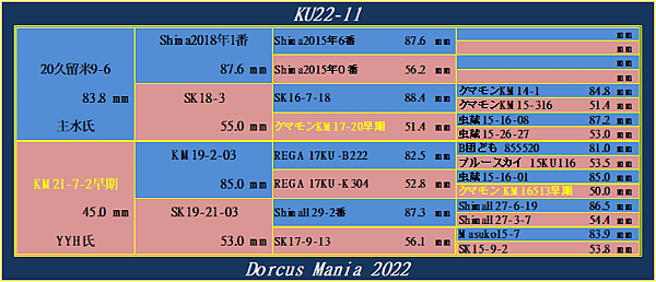 KU22-11系統表.png