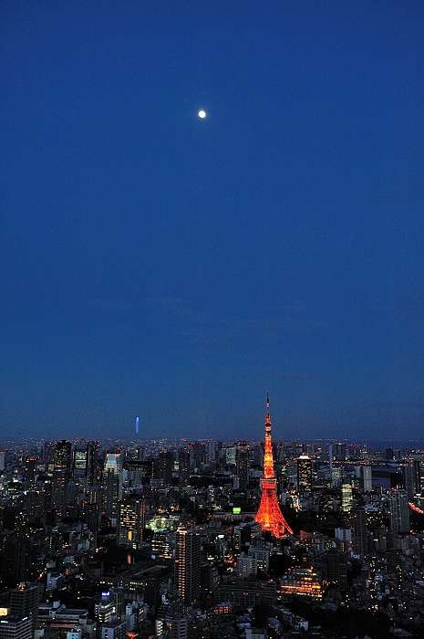 11_D7S_4456.jpg