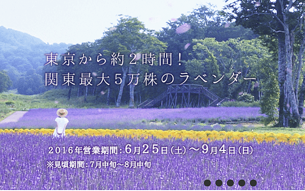 2016-8-8 上午 03-06-45.png