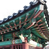 IMG_9548.JPG