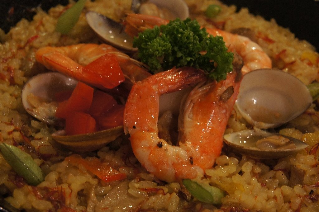 DSC08155.JPG