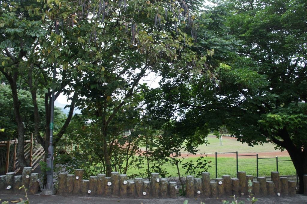 DSC05643