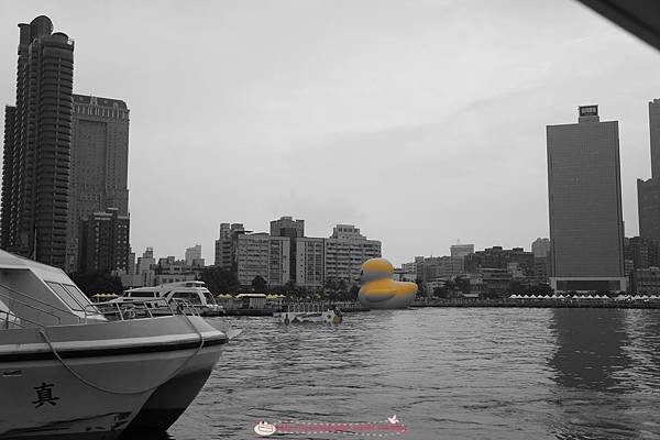 DSC04231