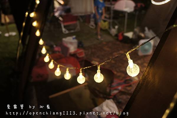 DSC00704