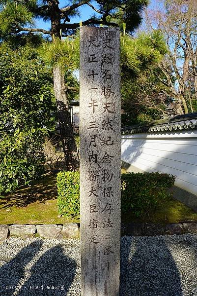 DSC08300.JPG
