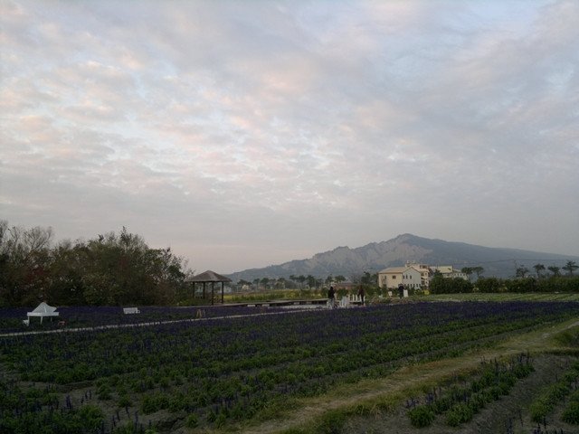53.jpg