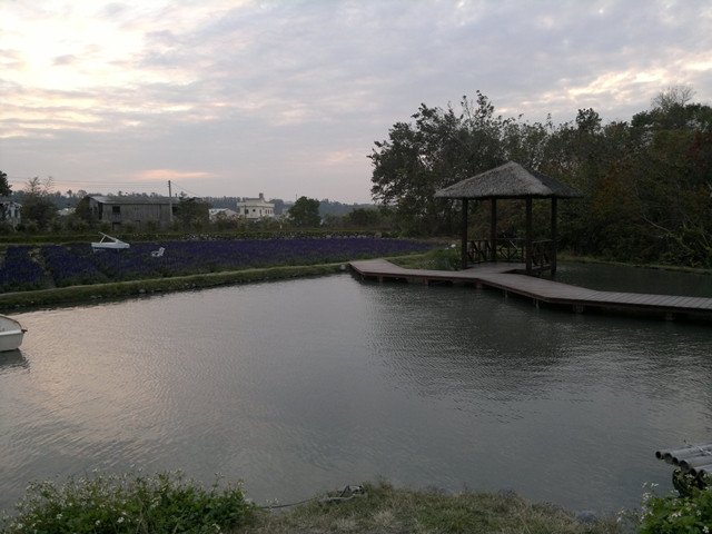 55.jpg