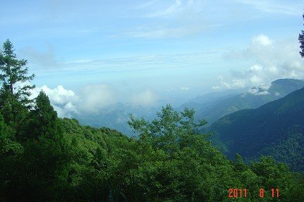 36檜山巨木群森林步道 天空山景.jpg