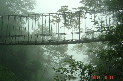 42檜山巨木群森林步道 吊橋.jpg