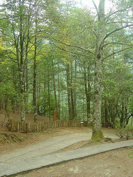 01桃山步道.jpg