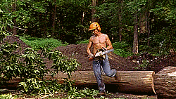 tumblr (2).gif