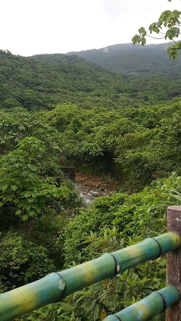 20170529_095501.jpg