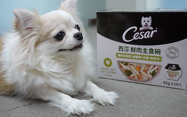【成犬濕糧推薦】即開即食~【Cesar®西莎®鮮肉主食碗】 