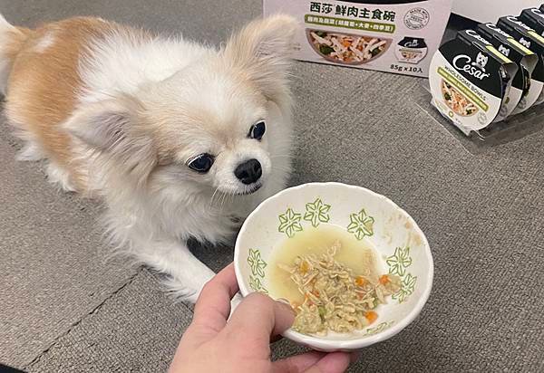 【成犬濕糧推薦】即開即食~【Cesar®西莎®鮮肉主食碗】 
