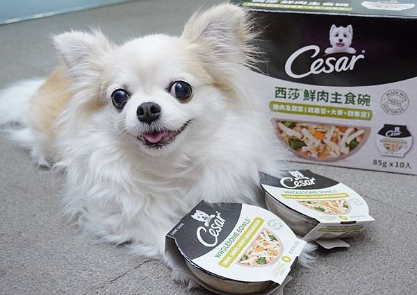 【成犬濕糧推薦】即開即食~【Cesar®西莎®鮮肉主食碗】 