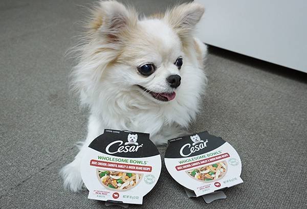 【成犬飼料推薦】即開即食~Cesar 西莎鮮肉主食碗 ♥ 真