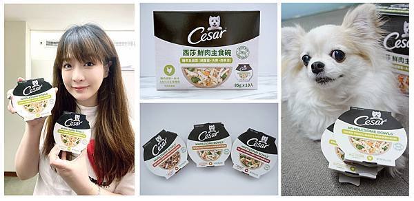 【成犬濕糧推薦】即開即食~【Cesar®西莎®鮮肉主食碗】 
