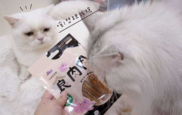 【貓咪零食推薦】適口性超棒! 專為貓咪設計的零食 ♥ 美味Q
