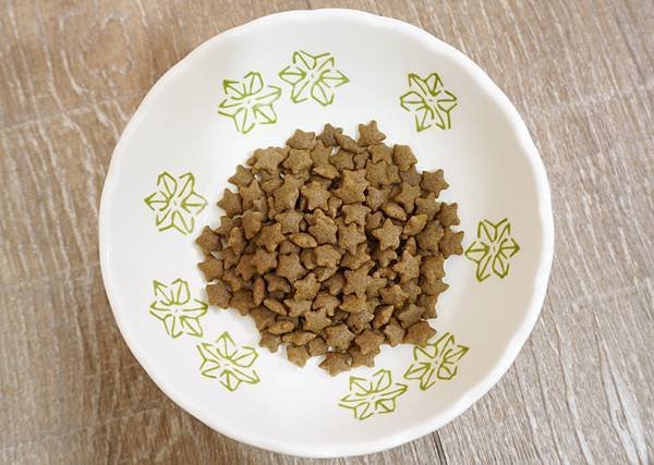 【喵星人主食推薦】健康飲食=幸福關鍵 !  給毛孩全方位的營