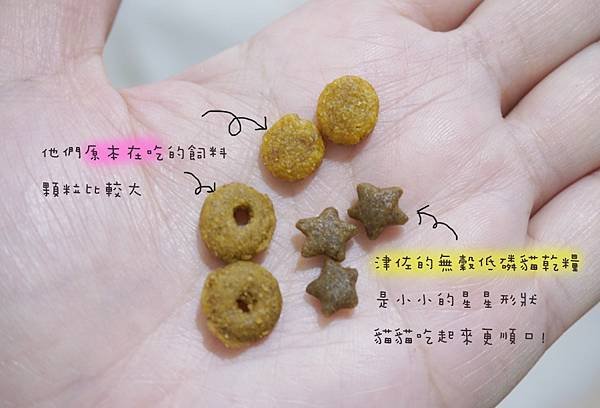 【喵星人主食推薦】健康飲食=幸福關鍵 !  給毛孩全方位的營