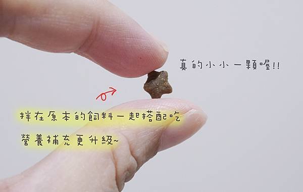 【喵星人主食推薦】健康飲食=幸福關鍵 !  給毛孩全方位的營