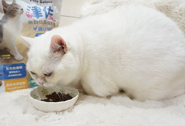 【喵星人主食推薦】健康飲食=幸福關鍵 !  給毛孩全方位的營