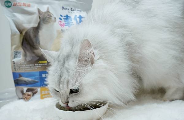 【喵星人主食推薦】健康飲食=幸福關鍵 !  給毛孩全方位的營
